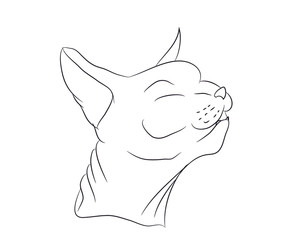 cat portrait, lines, vector,