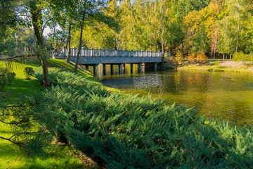 a birch grove located on a picturesque shore and a wide bridge to a non-leading