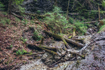 Brook canyon of the Sucha Bela hiking trail in park called Slovak Paradise, Slovakia