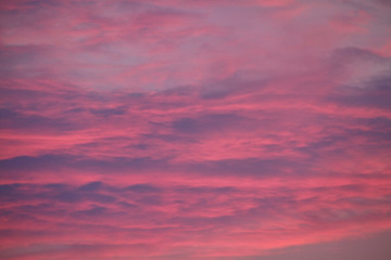 An unusual pink sky in divorces and blue spaces. Rarely such you will see