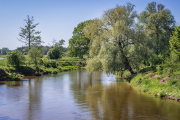 Fototapeta na wymiar River Liwiec in Kalinowiec, small village in Masovian Voivodeship of Poland