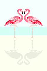 Flamingo bird vector illustration background.
