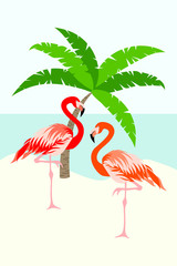 Flamingo bird vector illustration background.
