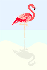 Fototapeta premium Flamingo bird vector illustration background