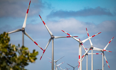 Wind turbines in summer landscape