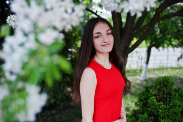 Fototapeta premium Teenage girl in red dress posed outdoor at sunny day.