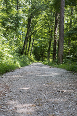 Fototapeta premium A gravel road in a city park in Knoxville