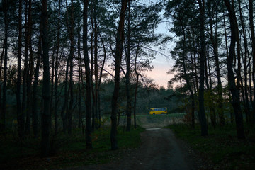 Silhouettes of pine forest on sunset sky background.
