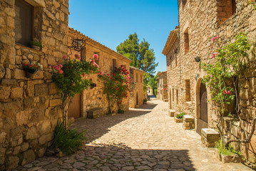 Fototapeta na wymiar Siurana Village, Spain