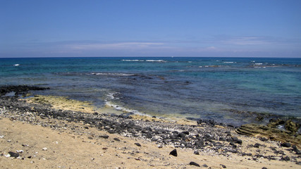 Rocky Beach with Waves