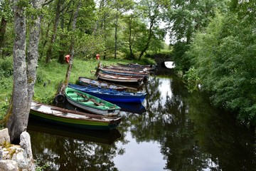 Docked Boats