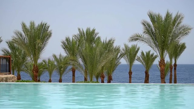 Swimming pool in beachfront tropical with coconut palm trees and sea on background.