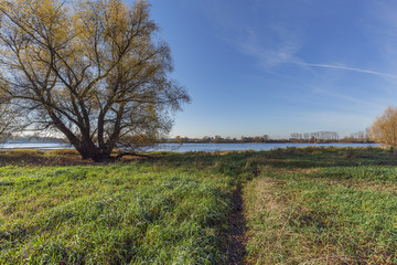 Fototapeta premium Hiking Path towards the River Rhine waterside at Urdenbacher Kaempe at Duesseldorf / Germany