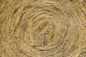 Heubalen Nahaufnahme close up Stroh
