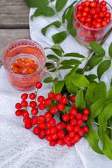 medicinal tea made from mountain ash (sourbus) fruit