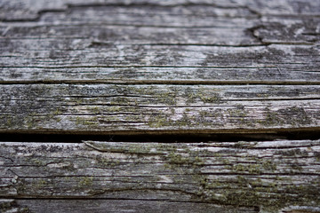 Closeup of an old wooden fence by daylight 