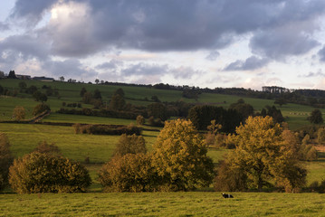 Landscape near Stavelot © jstuij