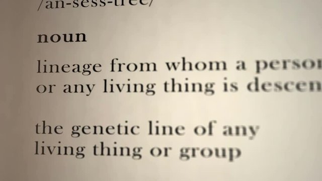 Ancestry Definition