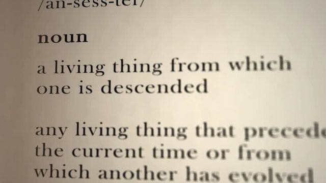 Ancestor Definition