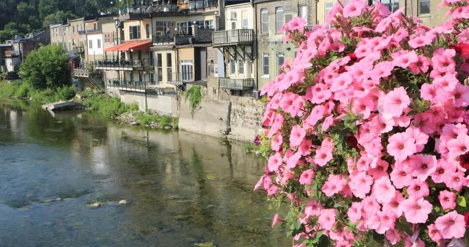 Grand River at Paris, Canada with flowers in front 4K