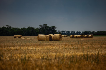 Fototapeta premium stack of hay at the field