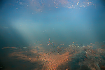 sunbeams underwater photo / texture underwater landscape with sun rays, blue water sun in the ocean