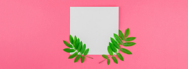 White letter mock up with fresh green leaves