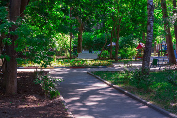 Track in the park to the bench and playground