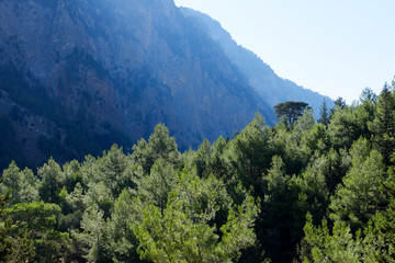 Gorges de Samaria, Crete