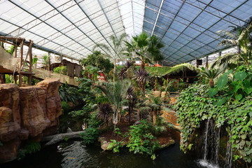 Serre tropicale au zoo de Pairi Daiza