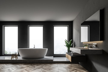 Fototapeta na wymiar Luxury gray bathroom interior