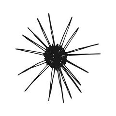 sea urchin vintage sketch. isolated vector on white background