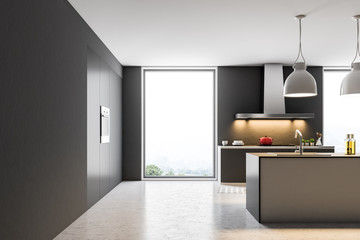 Dark gray loft kitchen with a cooker