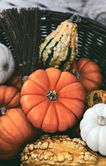 Closeup Of Colorful Pumkins Collected In A Straw Basket