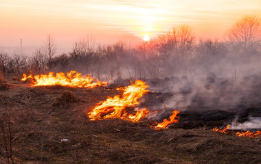 On a hot summer day, dry grass is burning on the field. Burning field with dry grass.