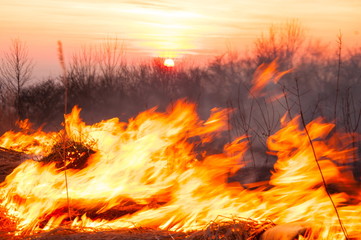On a hot summer day, dry grass is burning on the field. Burning field with dry grass.