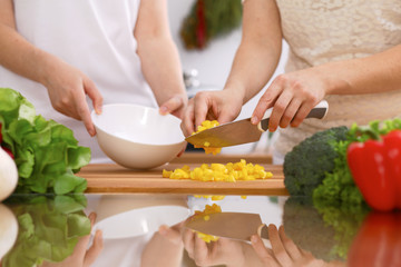 Closeup of human hands cooking in kitchen. Mother and daughter or two female friends cutting vegetables for fresh salad. Healthy meal, vegetarian food and lifestyle concepts
