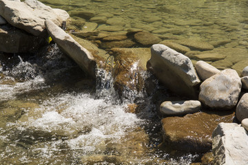 acqua 7