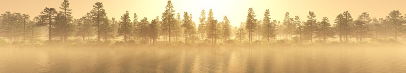 Obraz premium Panorama of a forest in the fog at sunset. Trees in the fog. Light above the left. 3D rendering 