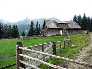 The Alpisi Farm. Mountain cafe. A wooden hut. Green meadow.