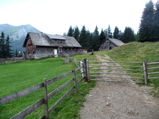 Fototapeta na wymiar The Alpisi Farm. Mountain cafe. A wooden hut. Green meadow.