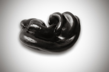 Metaphoric view of a pepper