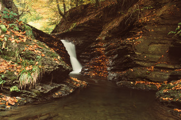 Autumn mountain waterfall stream in the rocks with colorful red fallen dry leaves, natural seasonal background