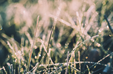 Frozen meadow grass, abstract seasonal vintage winter background