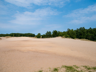 Boberger Dünen im Naturschutzgebiet Boberger Niederungen im Osten Hamburgs am Tage. Selektiver Fokus auf Vordergrund.