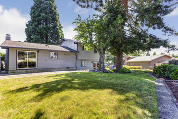 Backyard view of a large house surrounded by tall trees.