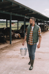 handsome male farmer holding bucket and looking at cows in cowshed