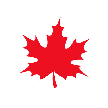 red maple leaf icon. vector illustration