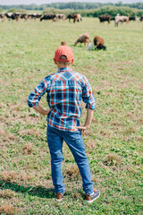 rear view of boy in checkered shirt standing and looking at cows grazing in field