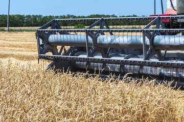 Fototapeta premium Harvester machine to harvest wheat field working. Combine harvester agriculture machine harvesting golden ripe wheat field. Agriculture